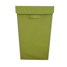 Panier à linge Cooke & Lewis Baya capacité 52 litres coloris vert en polyester L.30 x l.30 x H.58 cm