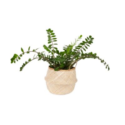 Panier Belly naturel et blanc taille L