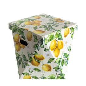 Panier de rangement Lemons 28x28x30cm en Carton - Dutch Design Brand
