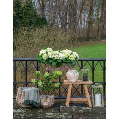 Paniers en rotin Kubu synthétique - Lot de 2 en couleur naturelle