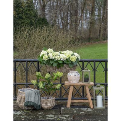 Paniers en rotin Kubu synthétique - Lot de 2 en couleur naturelle