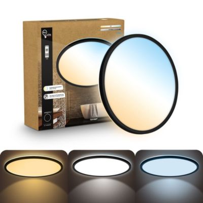 Panneau LED - Salle de Bains - Télécommande - D.42cm - Blanc chaud à blanc froid - 22W 3000lm - Plafonnier - B.K.Licht