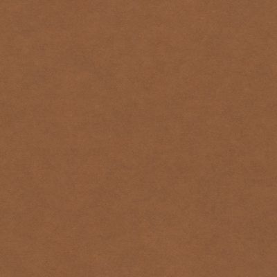 Panneau médium teinté dans la masse Forescolor brun 122 x 61 cm, ép.16 mm