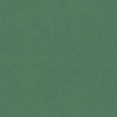 Panneau médium teinté dans la masse Forescolor vert 122 x 61 cm, ép.5 mm