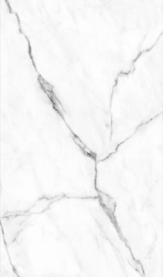 Panneau mural de salle de bains effet marbre de Carrare blanc mat, l.150 x H.255 cm, Schulte DécoDesign Softtouch