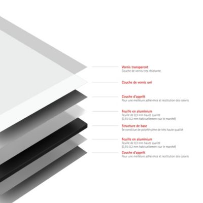 Panneau mural de salle de bains l.90 x H.210 cm, blanc, Schulte Décodesign couleur vendu par 2