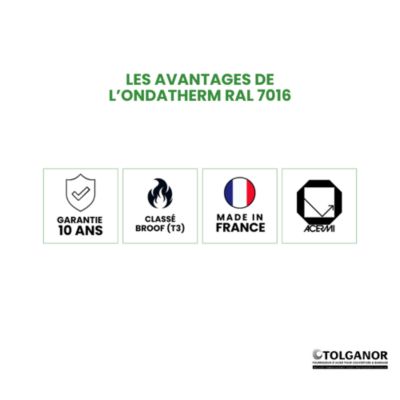 Panneau Sandwich isolé 40mm Ondatherm T RAL 7016 - ARCELOR 8.10 m