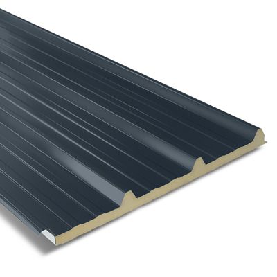 Panneau sandwich pour couverture isolée 2200x1000 mm AXEL PLUS Gris Anthracite RAL 7016