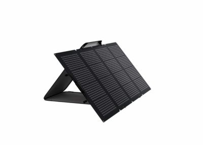 Panneau solaire double face EcoFlow 220W