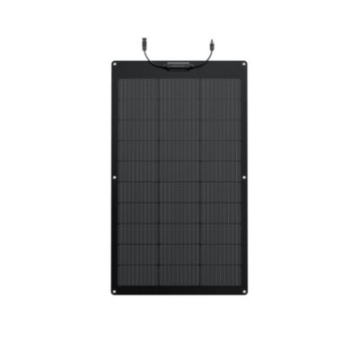 Panneau solaire flexible EcoFlow 100W