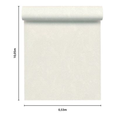 Papier peint à peindre vinyle intissé, texturé L.1000 x l.53cm — free download