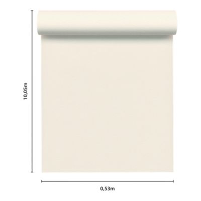 Papier peint à peindre vinyle intissé, texturé L.1000 x l.53cm — free download