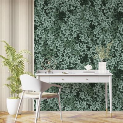 Papier peint avec plantes grimpantes de la forêt - 255x260 cm (l x h)