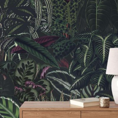 Papier peint avec plantes grimpantes et sombres - 425x260 cm (l x h)