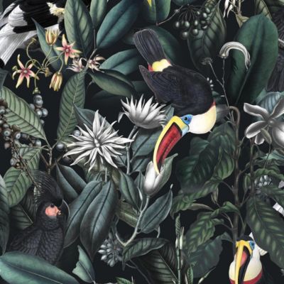 Papier peint avec plantes tropicales et toucans - 340x260 cm (l x h)