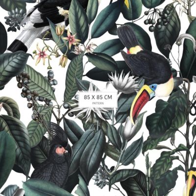 Papier peint avec plantes tropicales et toucans - 425x260 cm (l x h)