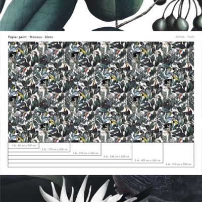 Papier peint avec plantes tropicales et toucans - 425x260 cm (l x h)