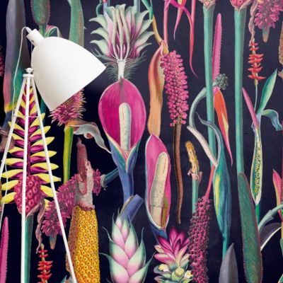Papier peint botanique et moderne avec plantes et fleurs - 510x260 cm (l x h)