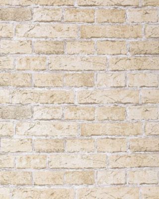 Papier peint design vintage rustique EDEM 583-20 aspect mur de briques brix beige sable