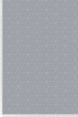 Papier peint expansé sur intissé Géométrique L.10.05 x l.0.53 m.  - Réf. SP14664