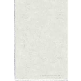 Papier peint expansé sur intissé Trompe l'oeil L.10.05 x l.0.53 m.  - Réf. AS-369113