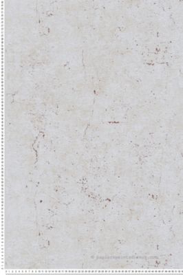 Papier peint expansé sur intissé Trompe l'oeil L.10.05 x l.0.53 m.  - Réf. AS-369116