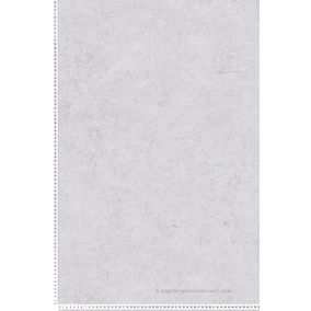 Papier peint expansé sur intissé Trompe l'oeil L.10.05 x l.0.53 m.  - Réf. SP14642
