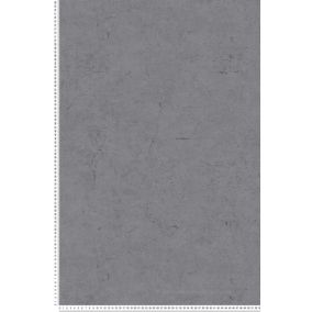 Papier peint expansé sur intissé Trompe l'oeil L.10.05 x l.0.53 m.  - Réf. SP14643