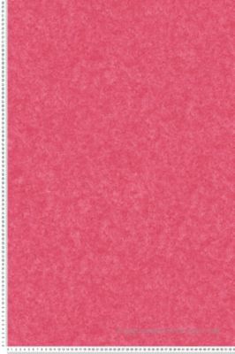 Papier peint expansé sur intissé Uni L.10.05 x l.0.53 m.  - Réf. SP15566