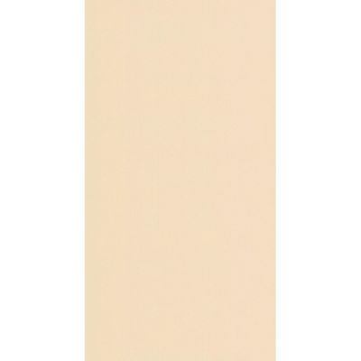 fond beige uni