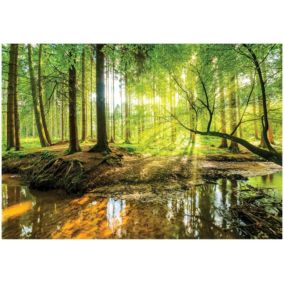Papier Peint Forêt Arbres Vert Nature Intissé Panoramique 150x105 cm - Colle Inclus - Chambre et Salon - Moderne Papier Peint
