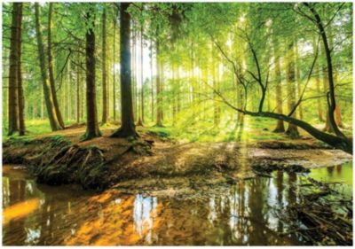 Papier Peint Forêt Arbres Vert Nature Intissé Panoramique 300x210 cm - Colle Inclus - Chambre et Salon - Moderne Papier Peint