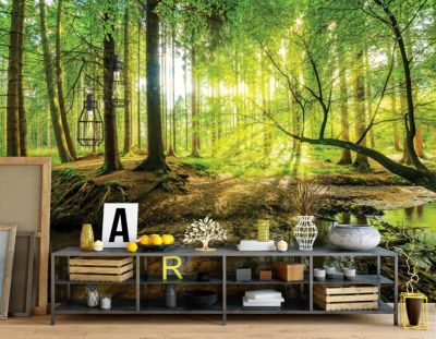 Papier Peint Forêt Arbres Vert Nature Intissé Panoramique 300x210 cm - Colle Inclus - Chambre et Salon - Moderne Papier Peint