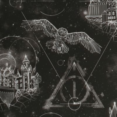 Papier peint Harry Potter dark night 1005 x 52cm Castorama