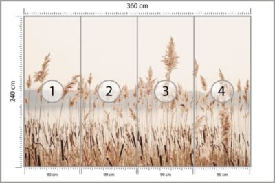 Papier Peint Intissé Canne PLANTES Nature Paysage 3D Pour Salon 360cm x 240cm