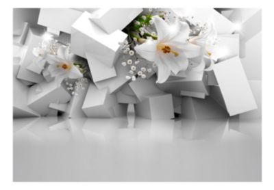 Papier peint intissé panoramique 3d et perspective lost in chaos 100x70 cm