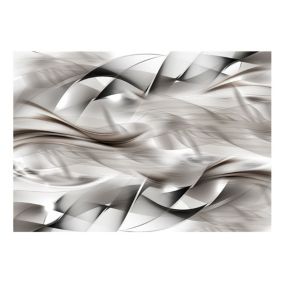 Papier peint intissé panoramique abstractions abstract braid 400x280 cm