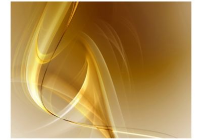 Papier peint intissé panoramique abstractions gold fractal background 350x270 cm