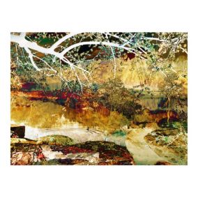 Papier peint intissé panoramique abstractions river of life 350x270 cm