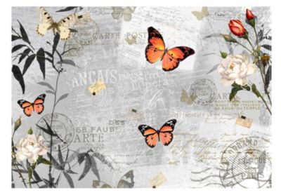 Papier peint intissé panoramique animaux butterflies song 350x245 cm