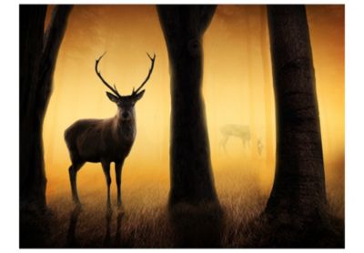 Papier peint intissé panoramique animaux deer in his natural habitat 400x309 cm