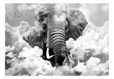 Papier peint intissé panoramique animaux elephant in the clouds (black and white) 400x280 cm