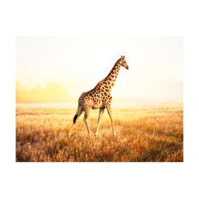 Papier peint intissé panoramique animaux girafe - promenade 400x309 cm