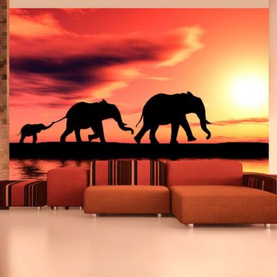 Papier peint intissé panoramique animaux éléphants: famille 400x309 cm