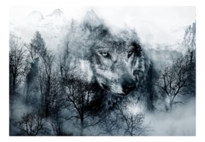 Papier peint intissé panoramique animaux mountain predator (black and white) 250x175 cm