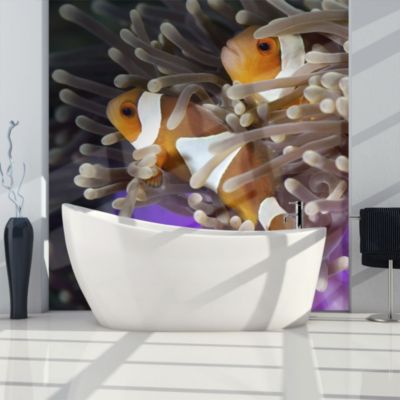Papier peint intissé panoramique animaux poissons clowns 250x193 cm