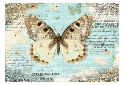 Papier peint intissé panoramique animaux postcard with butterfly 400x280 cm