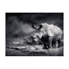 Papier peint intissé panoramique animaux rhinocéros perdu dans la rêverie 250x193 cm