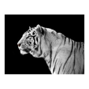 Papier peint intissé panoramique animaux tigre blanc 250x193 cm