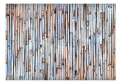 Papier peint intissé panoramique asian history 200x140 cm